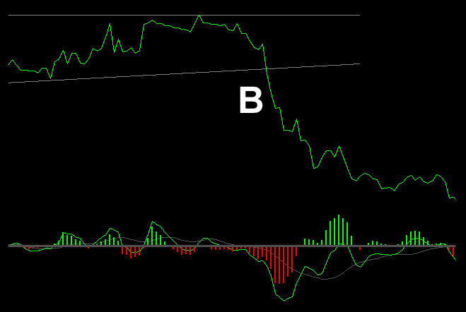 Momentum Highs